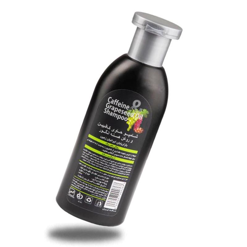 شامپو کافئین و عصاره جنسینگ 2 ه دلیل داشتن کافئین موجود در شامپو باعث افزایش گردش خون شده و در نتیجه از ریزش مو جلوگیری می کند